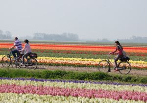 bike tours to holland