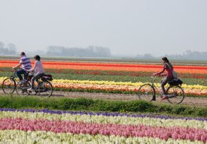 bike tour netherlands