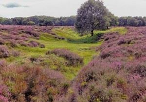 bike tour in holland