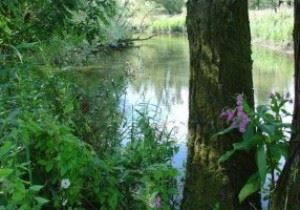 bike tours to holland