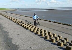 bike tour in holland